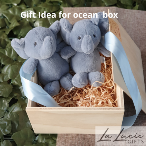 etched box elephant soft toy